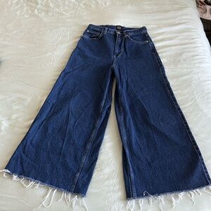 BDG Urban Outfitters Wide Leg Jeans